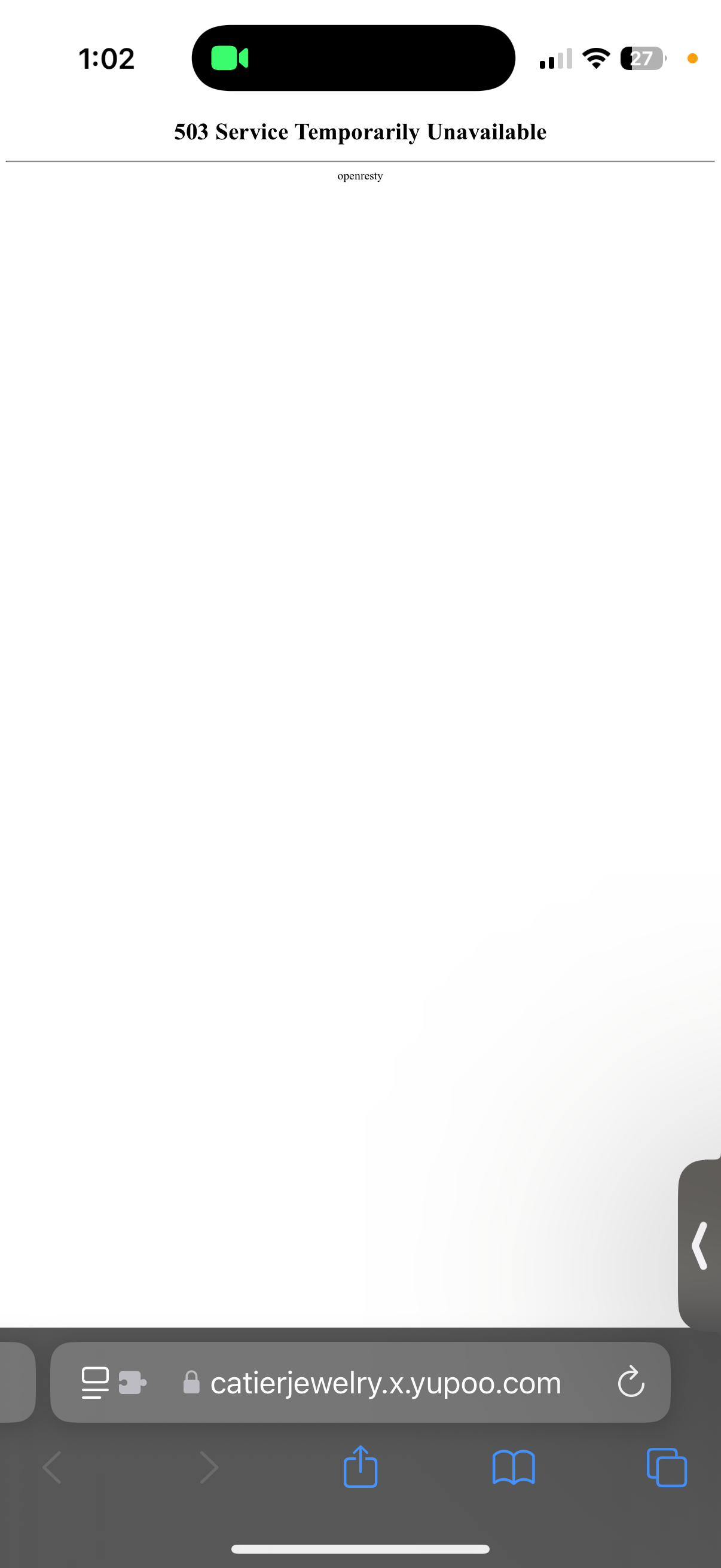 D!or luxury high quality earring